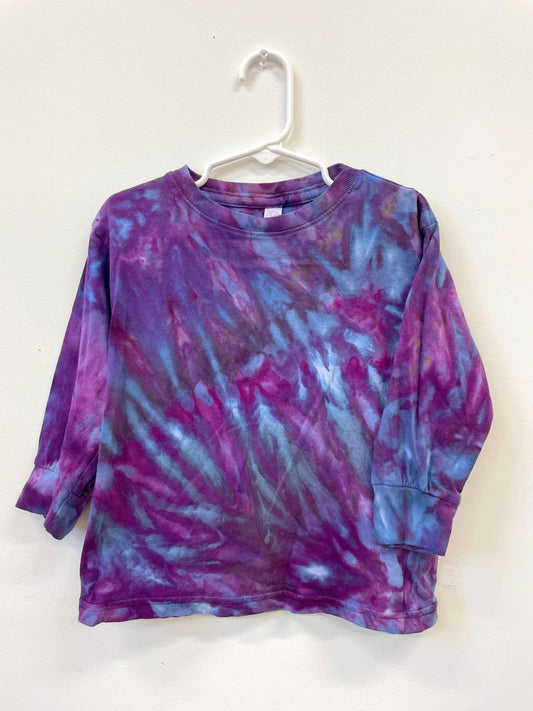 Toddler Tees — Long Sleeve